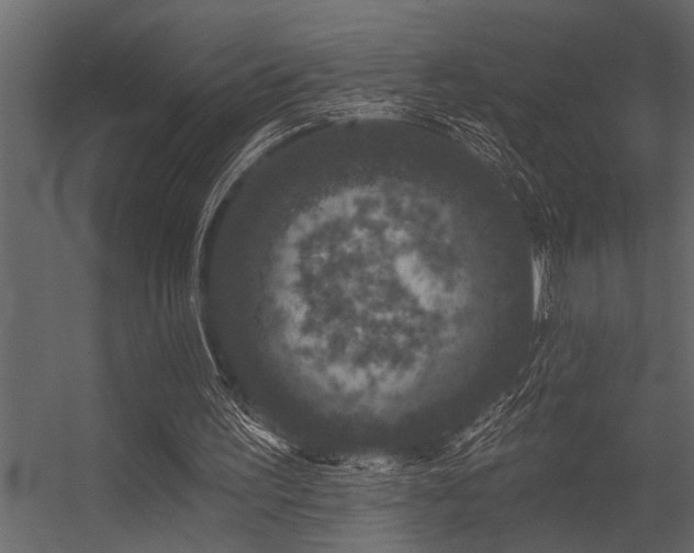 X0000056350195200509021731