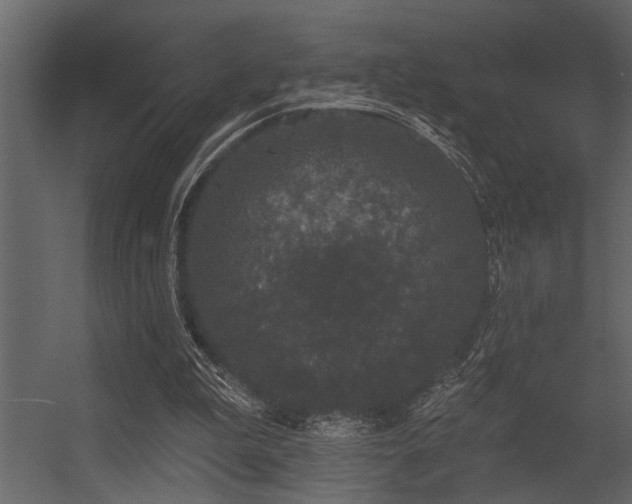 X0000056350199200509021731