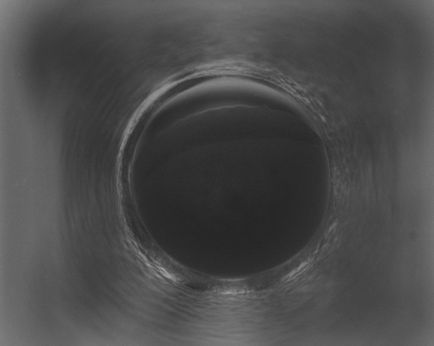 X0000056350200200509021731