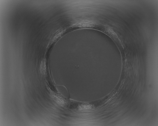 X0000056350202200509021731