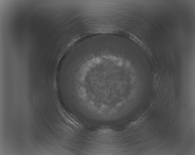 X0000056350203200509021730