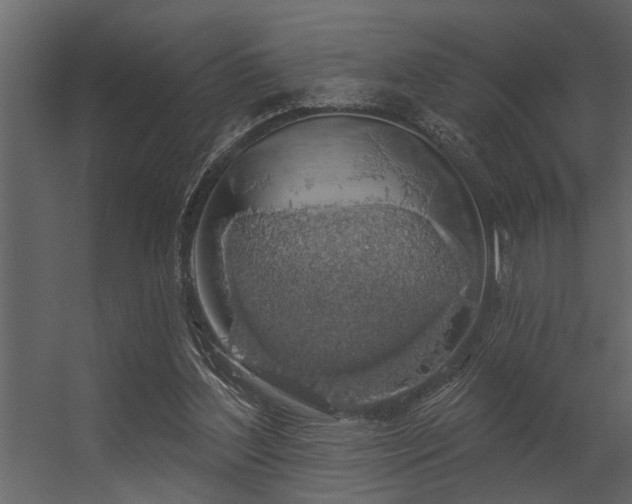 X0000056350204200509021730