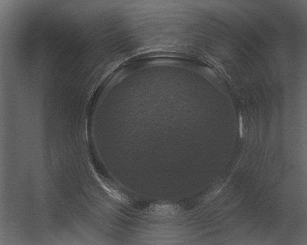 X0000056350205200509021730