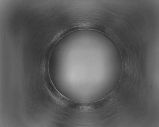 X0000056350208200509021730