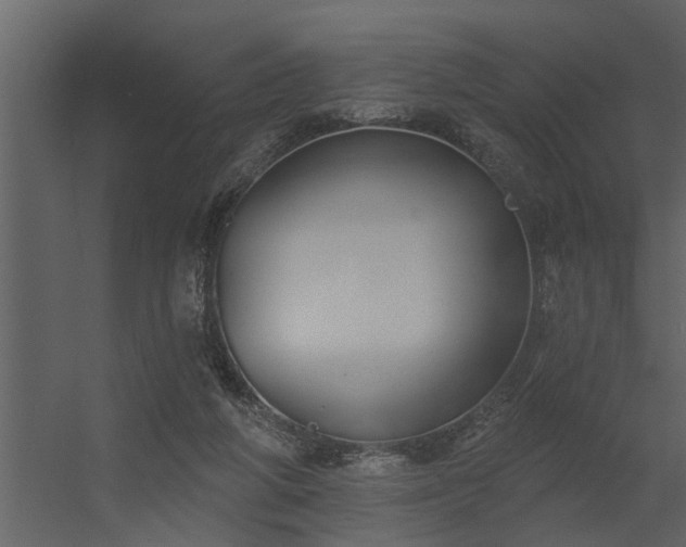 X0000056350210200509021730