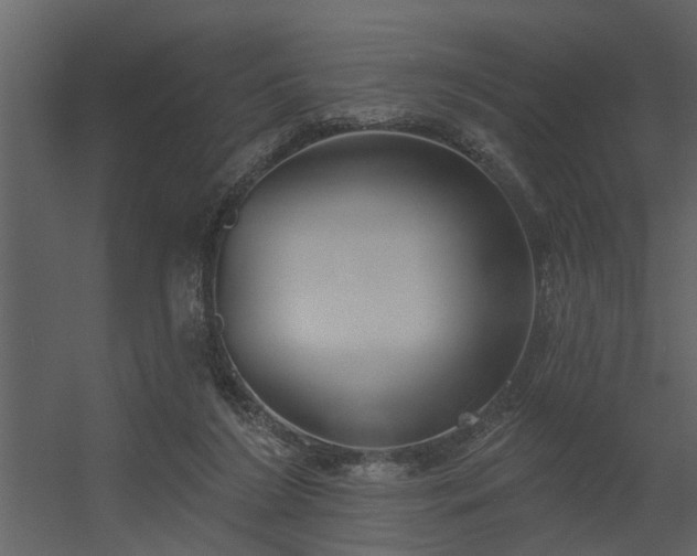 X0000056350212200509021730