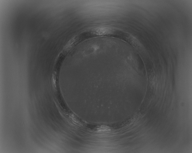 X0000056350214200509021730