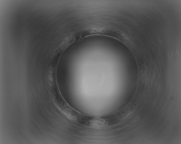 X0000056350215200509021730