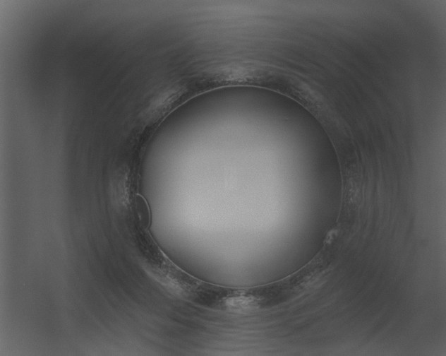 X0000056350216200509021730