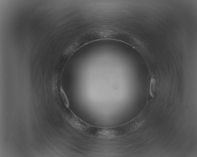 X0000056350221200509021730