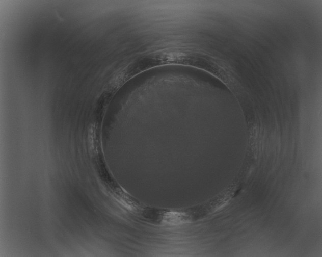 X0000056350222200509021730