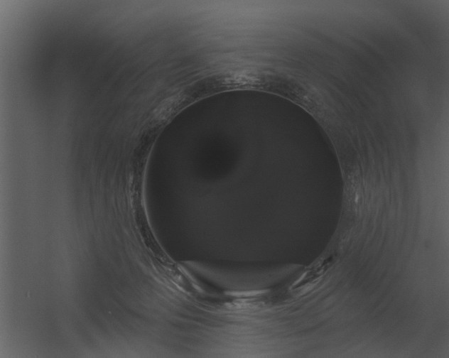 X0000056350223200509021730