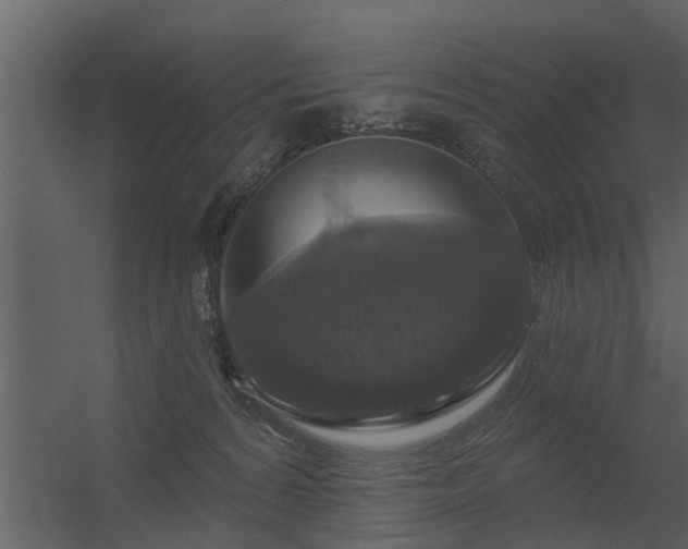 X0000056350224200509021730