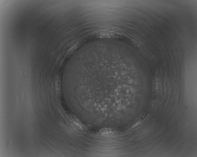 X0000056350228200509021730