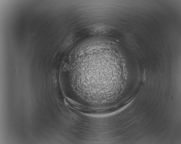 X0000056350232200509021730