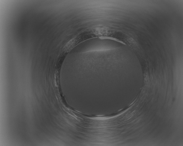 X0000056350233200509021730