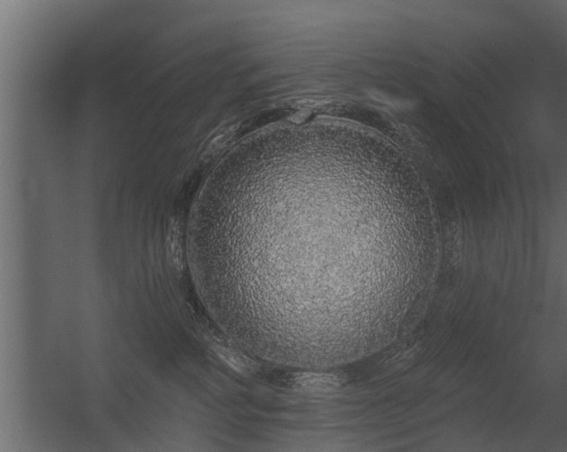 X0000056350234200509021730