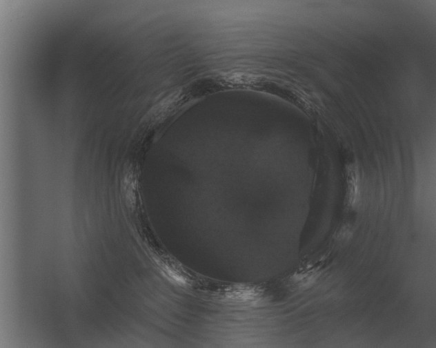 X0000056350235200509021730