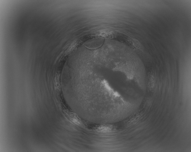 X0000056350236200509021730