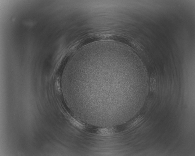 X0000056350238200509021730