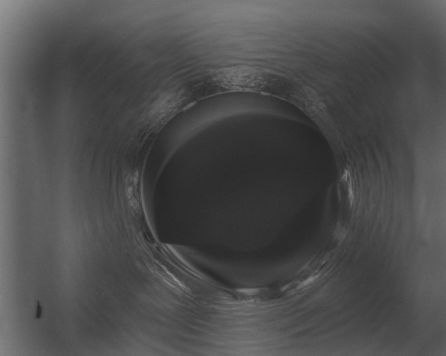 X0000056350239200509021730