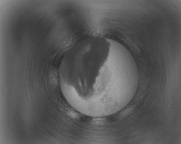 X0000056350240200509021730