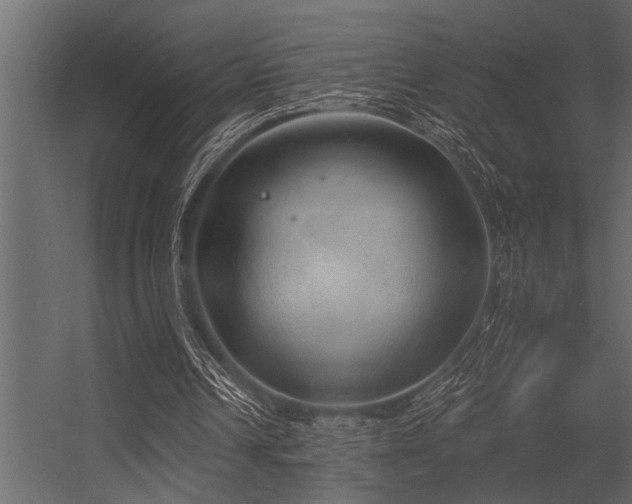 X0000056350242200509021729