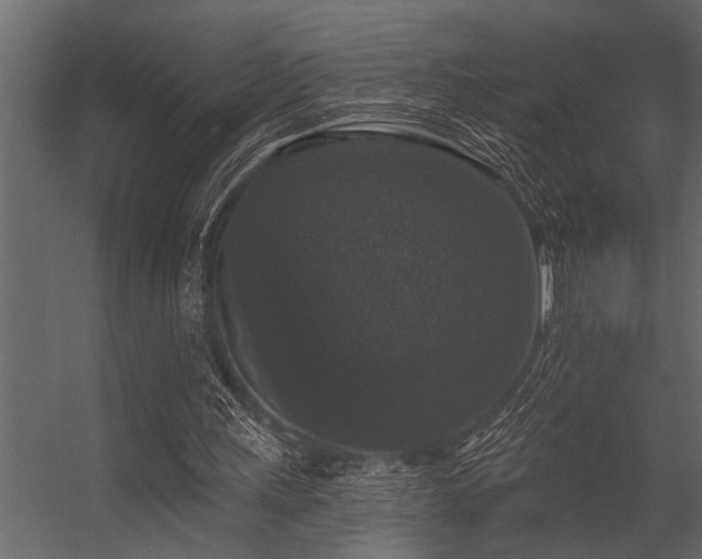 X0000056350243200509021729