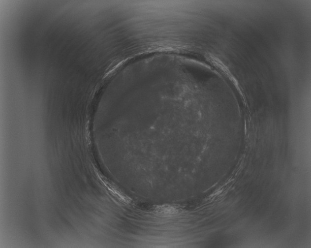 X0000056350249200509021729