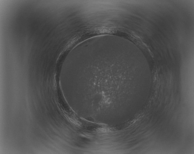 X0000056350250200509021729