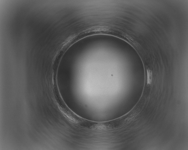 X0000056350253200509021729