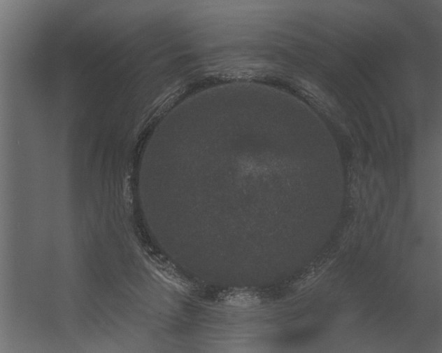 X0000056350258200509021729