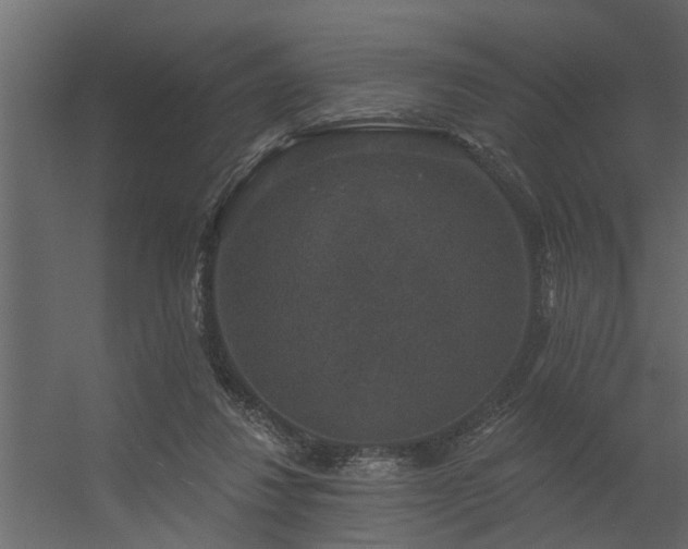 X0000056350260200509021729