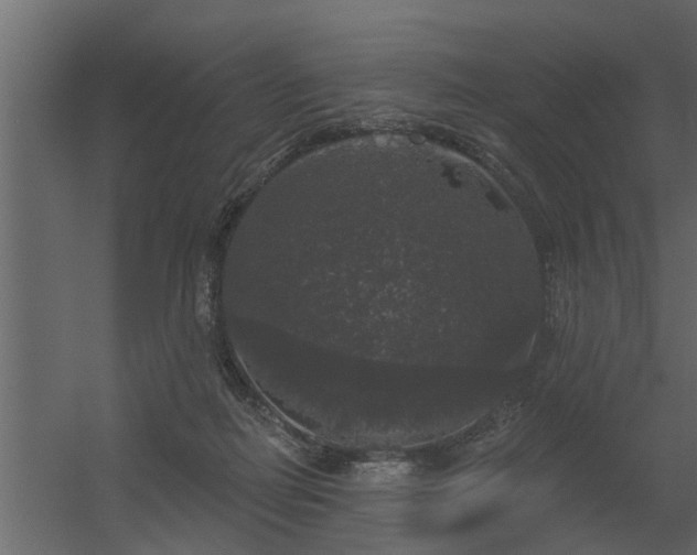 X0000056350266200509021729