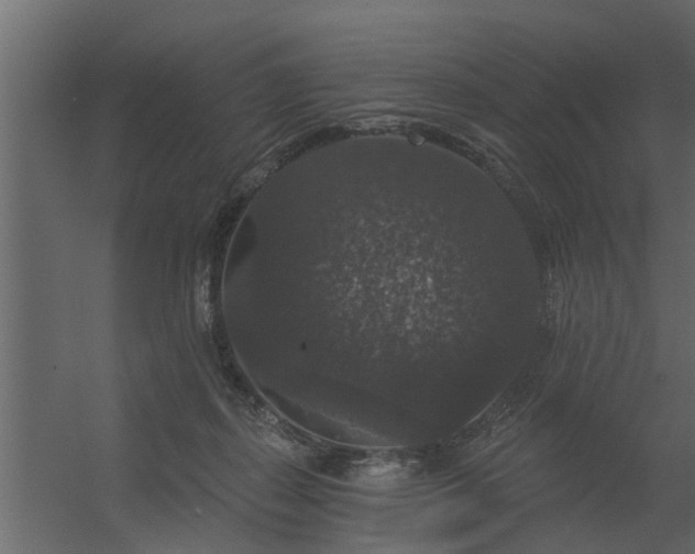 X0000056350267200509021729