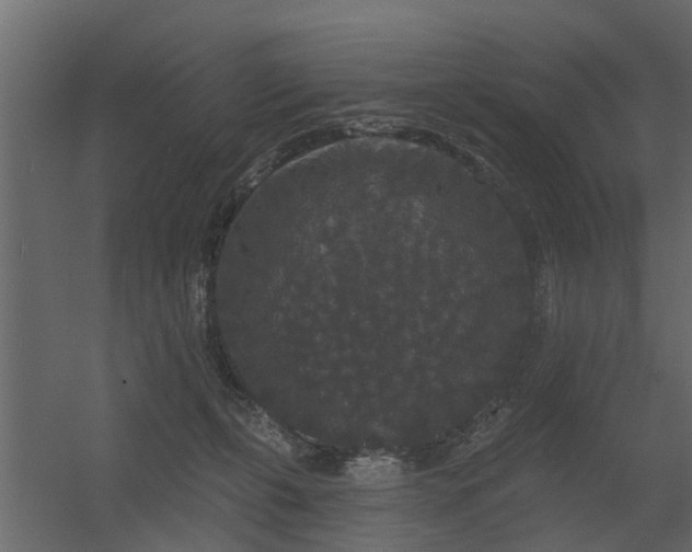 X0000056350271200509021730