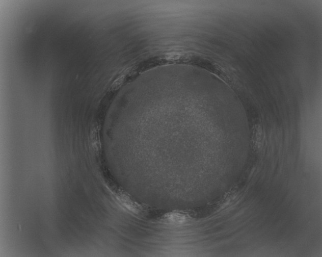 X0000056350272200509021730