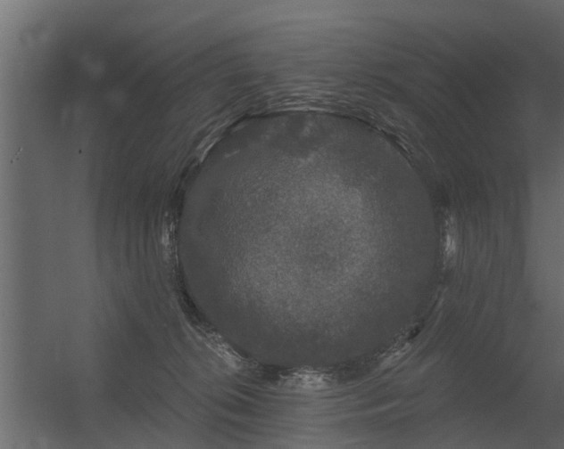 X0000056350276200509021730