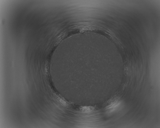 X0000056350277200509021730