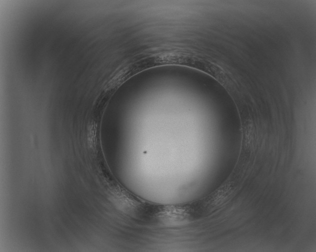 X0000056350278200509021730