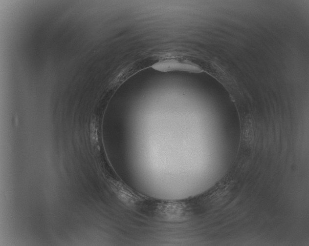 X0000056350282200509021730