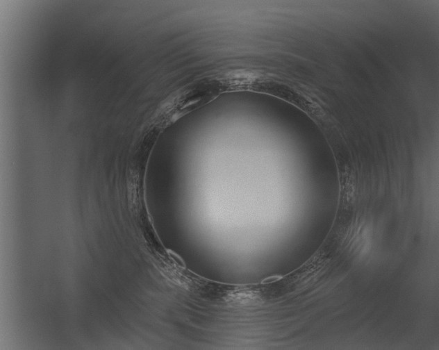 X0000056350283200509021730