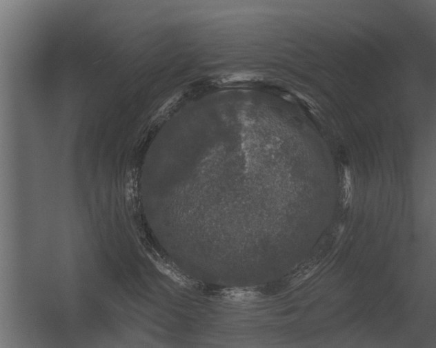 X0000056350284200509021730