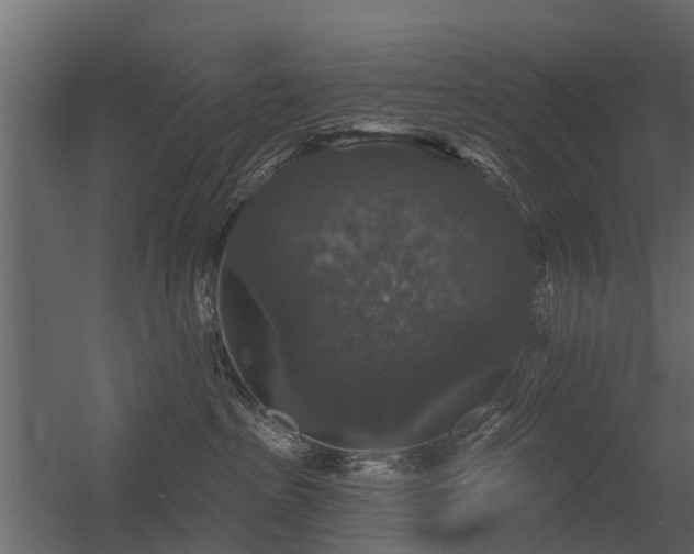 X0000056350285200509021730