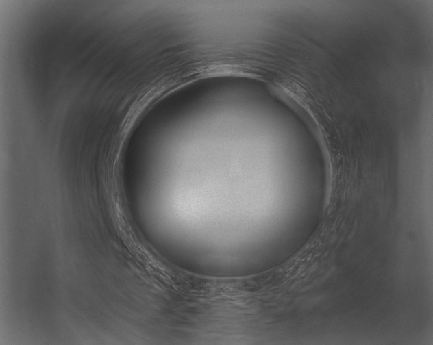 X0000056350289200509021729