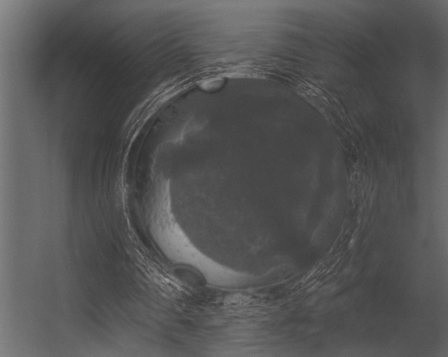 X0000056350290200509021729