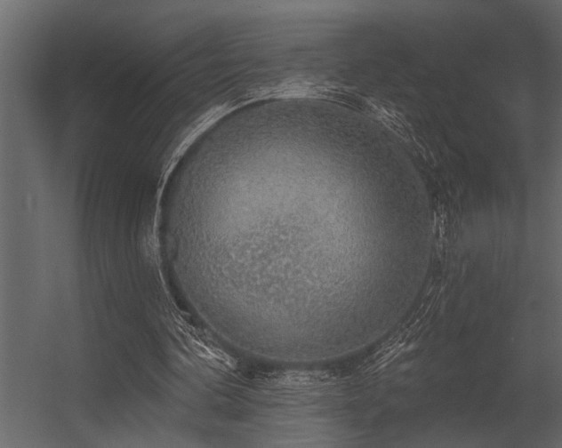 X0000056350292200509021729