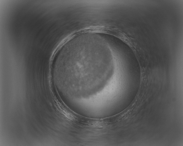 X0000056350293200509021729