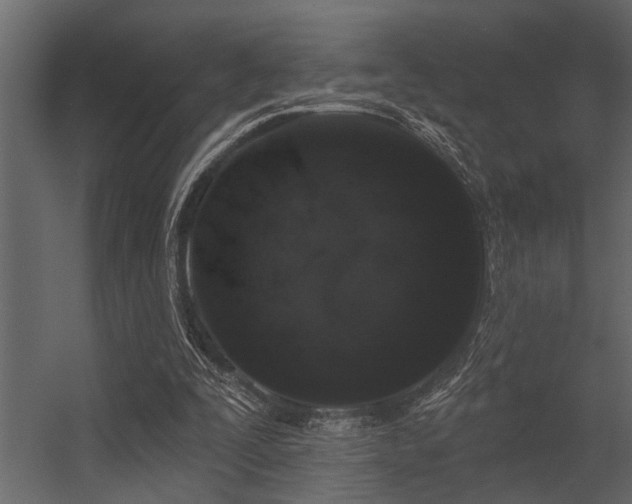 X0000056350295200509021729