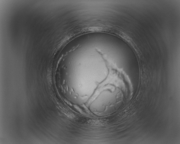 X0000056350297200509021729